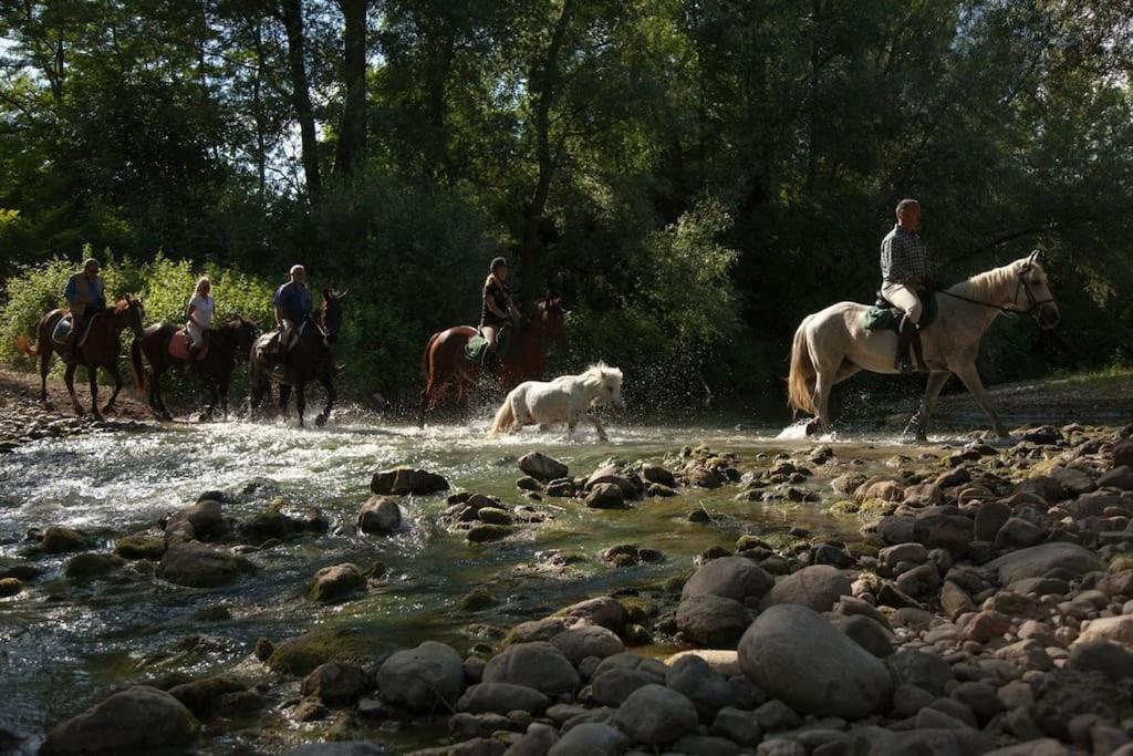 La Casella Antico Feudo Di Campagna Ficulle Luaran gambar