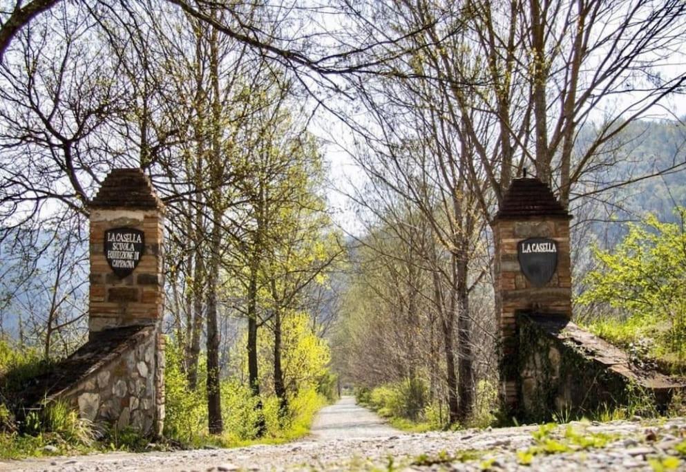 La Casella Antico Feudo Di Campagna Ficulle Luaran gambar