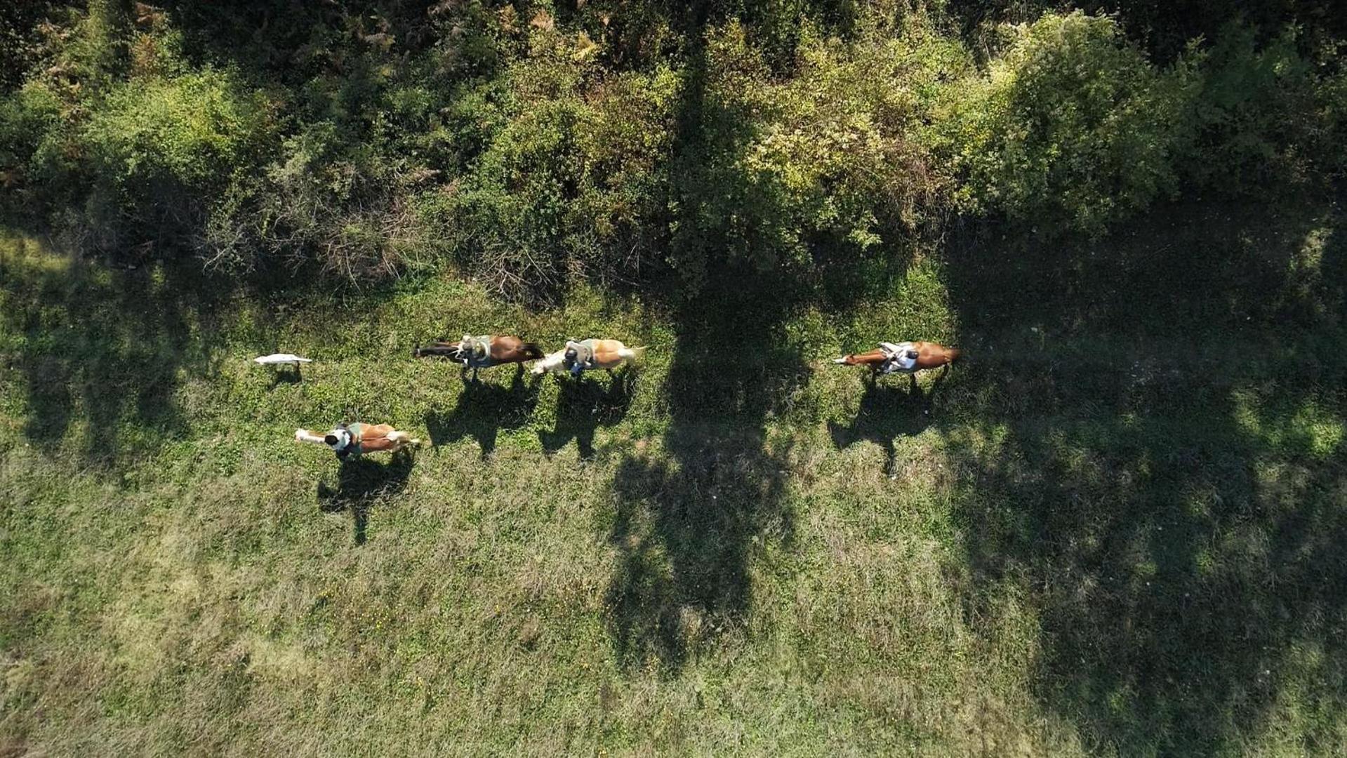 La Casella Antico Feudo Di Campagna Ficulle Luaran gambar