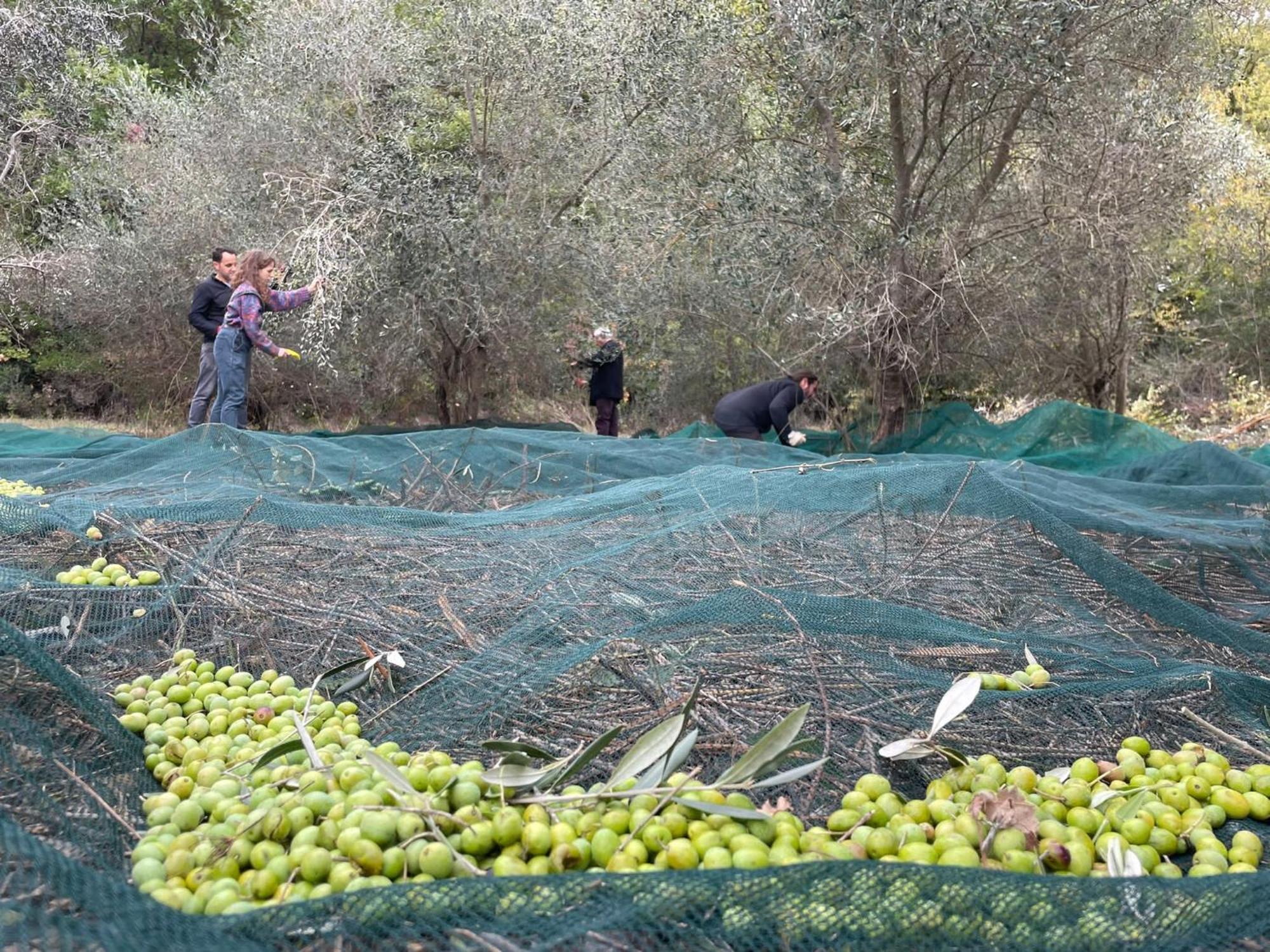 La Casella Antico Feudo Di Campagna Ficulle Luaran gambar